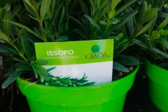 Issopo € 2.00