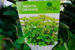 Menta Orange € 2.00