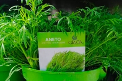 Aneto € 2.00